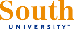 South University Online